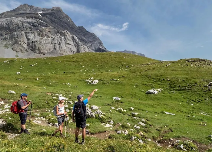 Comfortable 2-bedroom In Appartement